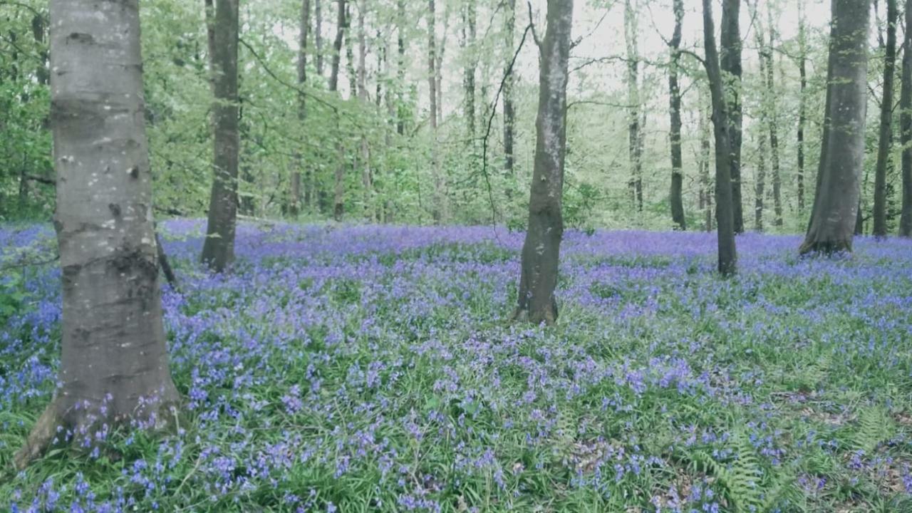 Moyola River Cottage 마러펠트 외부 사진